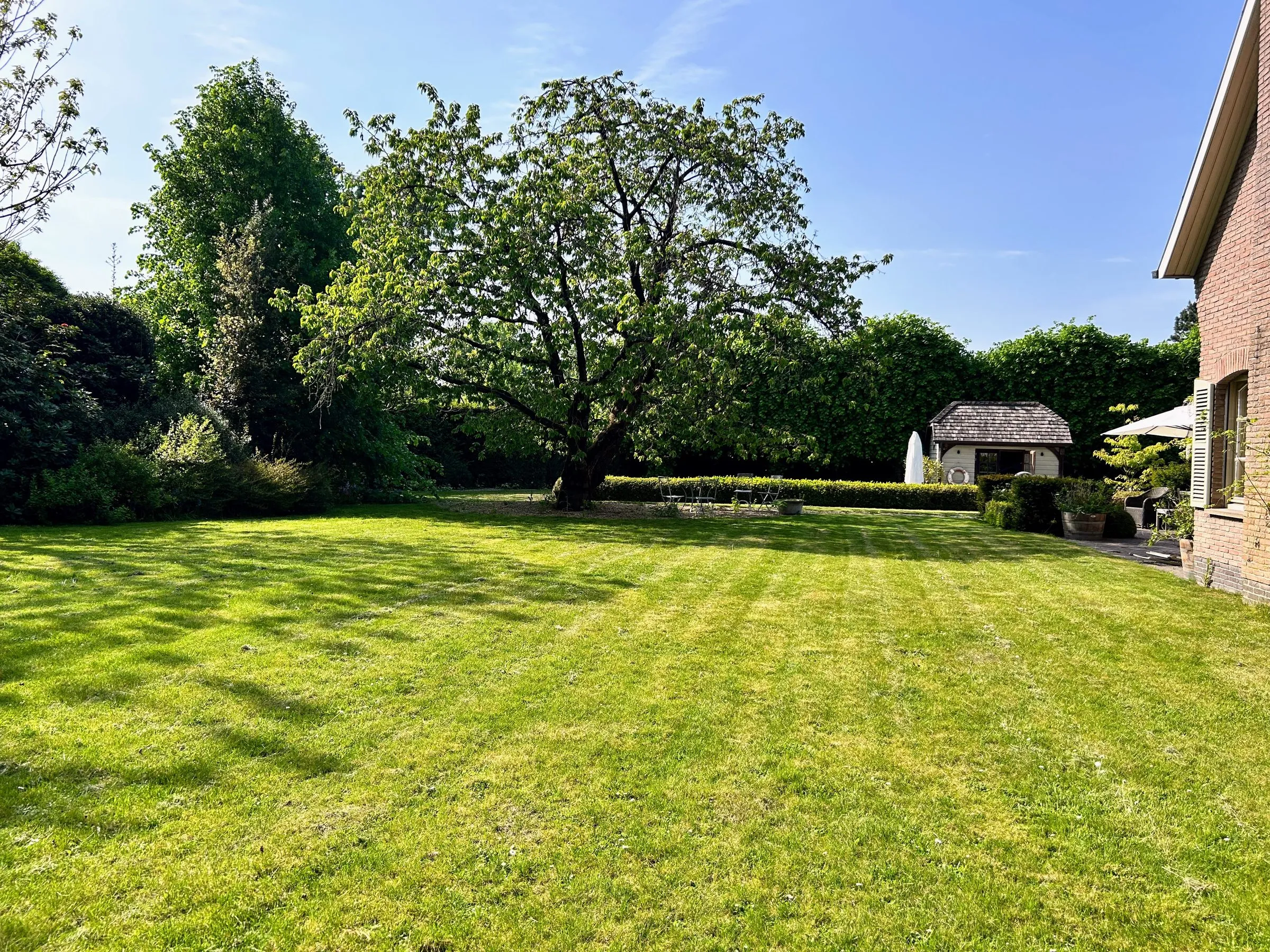 Onderhouden tuin met gemaaid gazon, verzorgd door L&R Projects