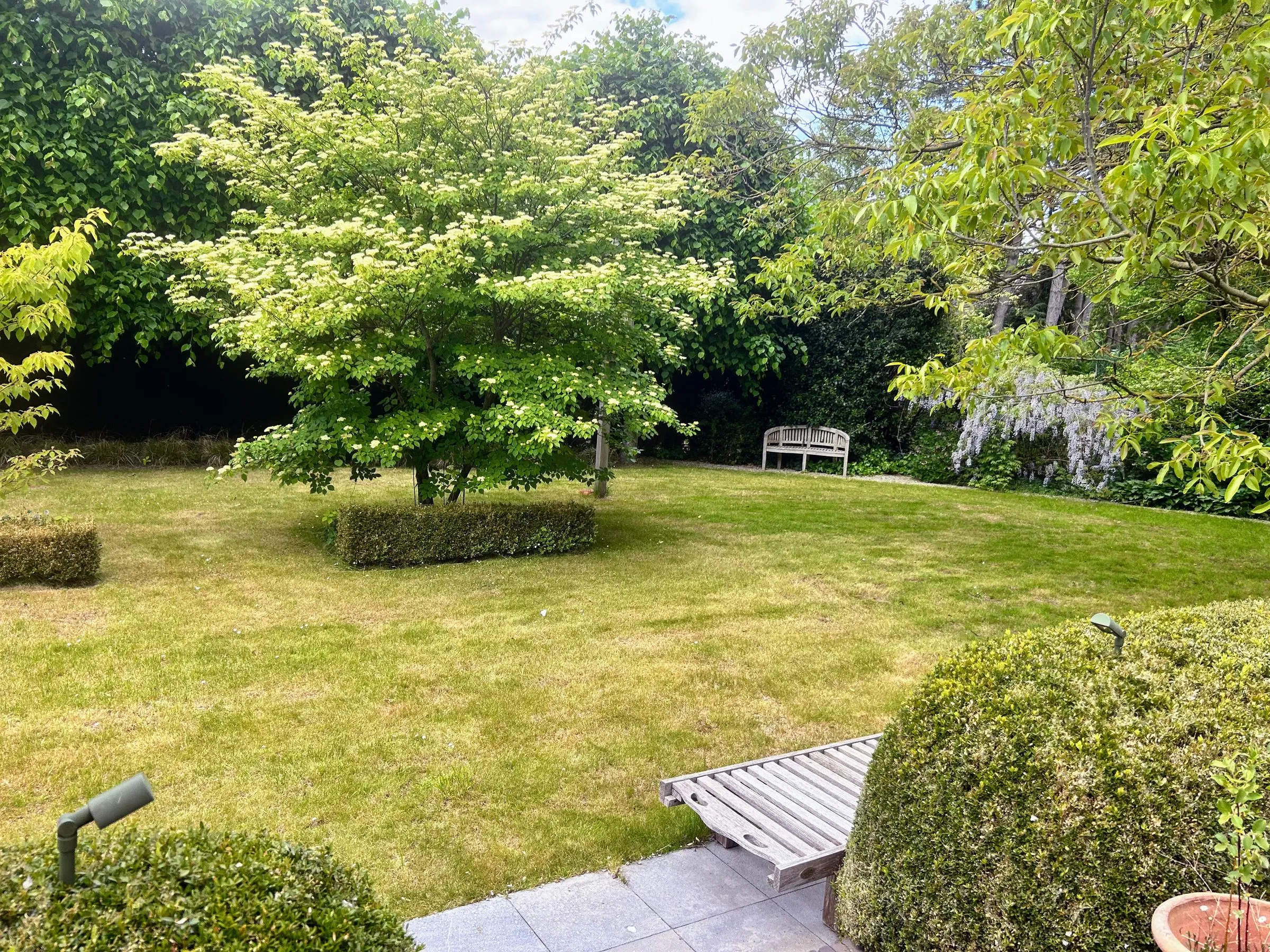 Onderhouden gazon in een grote landelijke tuin, verzorgd door L&R Projects, foto 2 van 4