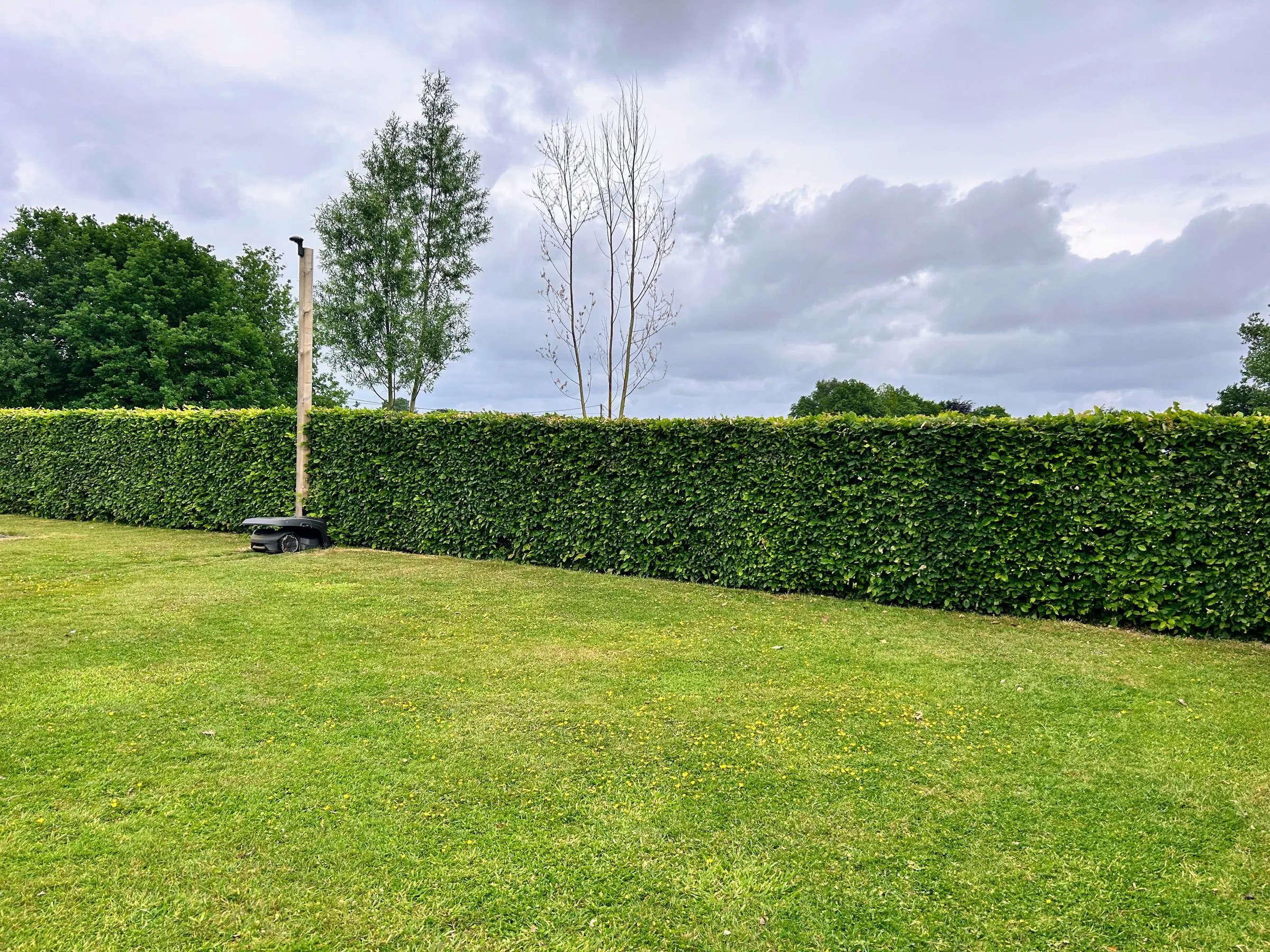 Geschoren hagen en vormsnoei in een onderhouden tuin door L&R Projects, foto 2 van 5