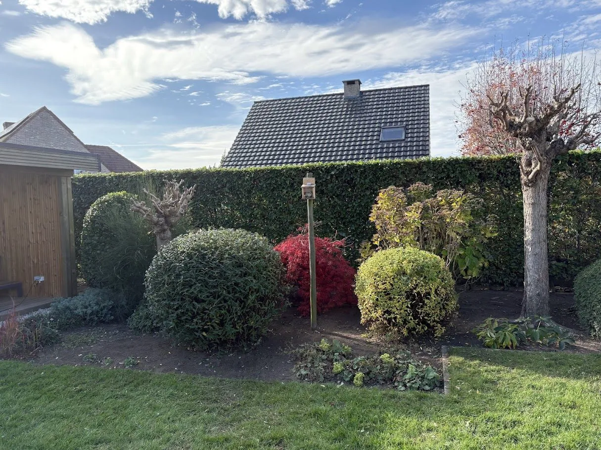 Aangelegde tuin met terras, borders en tuinverlichting door L&R Projects, foto 3 van 5