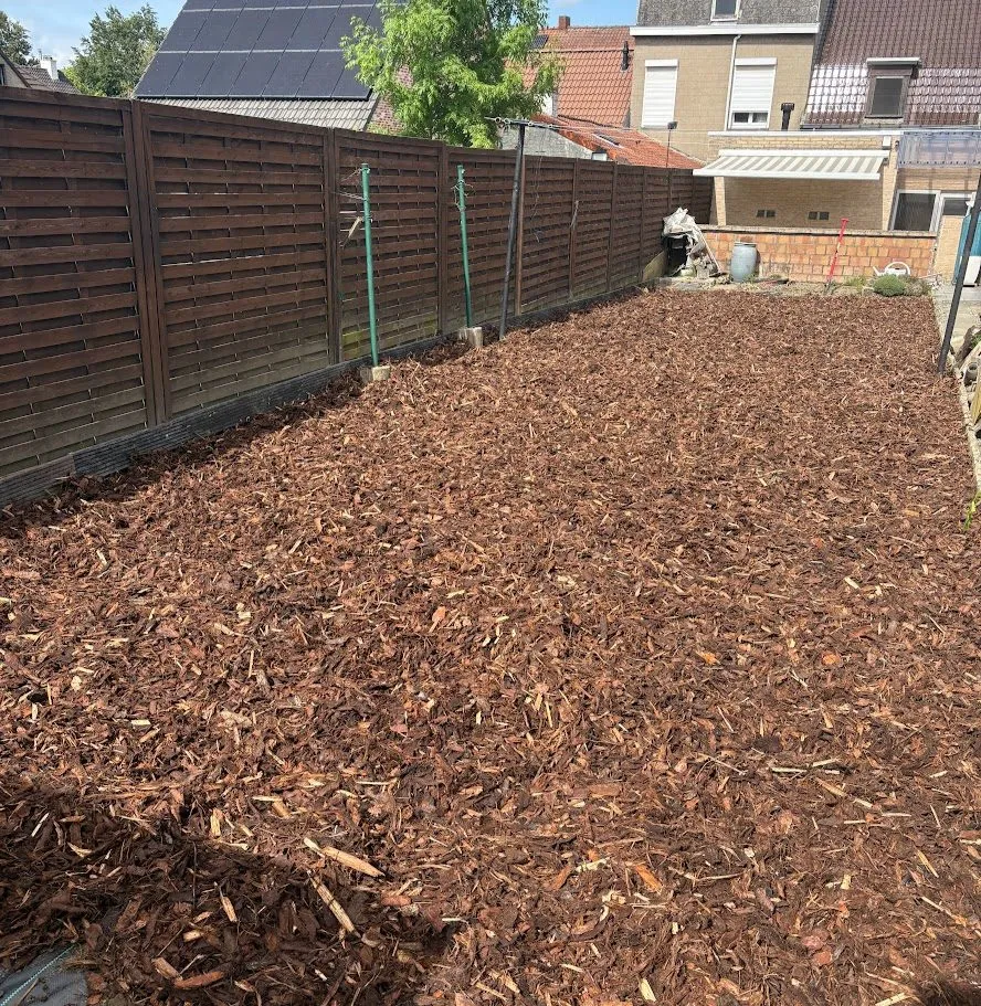 Heraanleg van een ommuurde tuin met nieuwe borders en beplanting door L&R Projects, foto 3 van 4