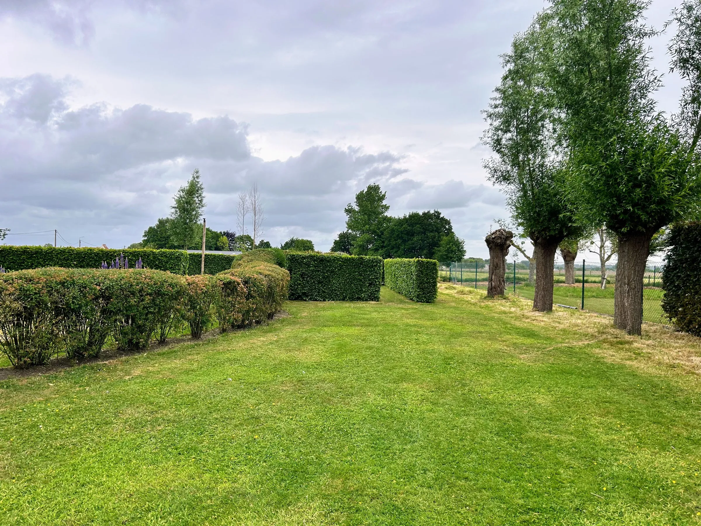 Geschoren hagen en vormsnoei in een onderhouden tuin door L&R Projects, foto 4 van 5