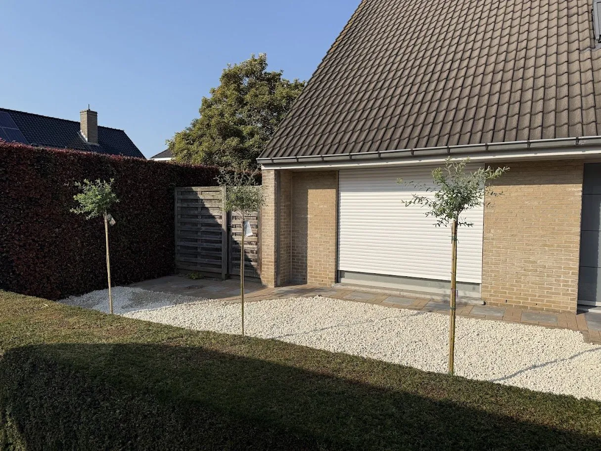 Aangelegde tuin met terras, borders en tuinverlichting door L&R Projects, foto 5 van 5